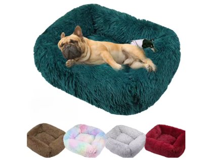 Snímek obrazovky 2026 01 30 160003