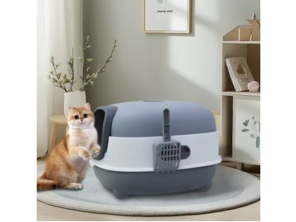 Snímek obrazovky 2026 01 31 165949