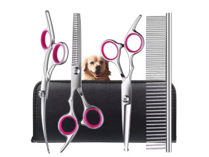 Snímek obrazovky 2026 02 01 204351