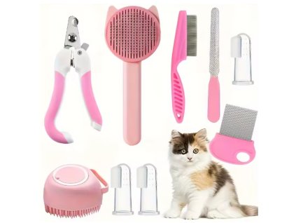 Snímek obrazovky 2026 02 01 203045