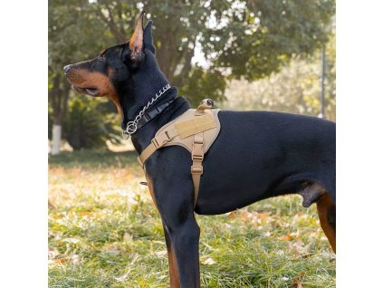 S34adfa6d90ed40abafe43789b1a893532