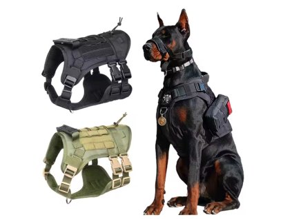 Snímek obrazovky 2026 02 09 100500