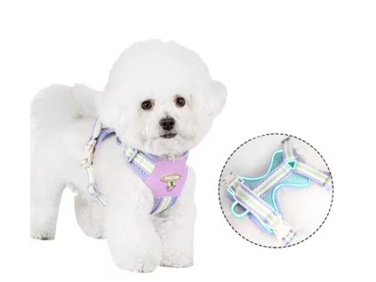 Snímek obrazovky 2026 02 09 205954