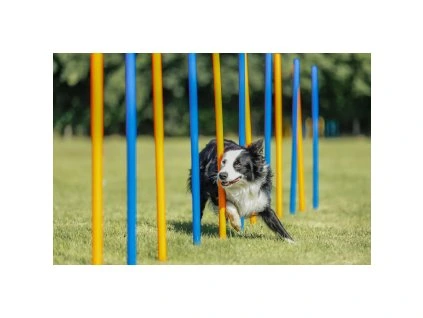 AGILITY Slalom, tyče 12ks