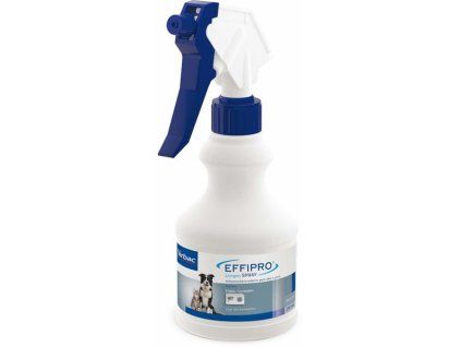VET01855 1678719616