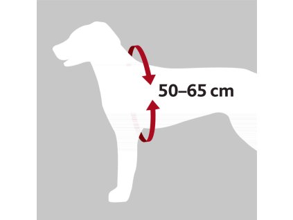 Bezpečnostní postroj do auta (Velikost postroje do auta M: 50-65 cm/20 mm, např. border kólie)