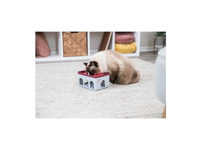 Cat Activity Rod Box, strategická hra pro kočky, 20 x 12 x 16 cm