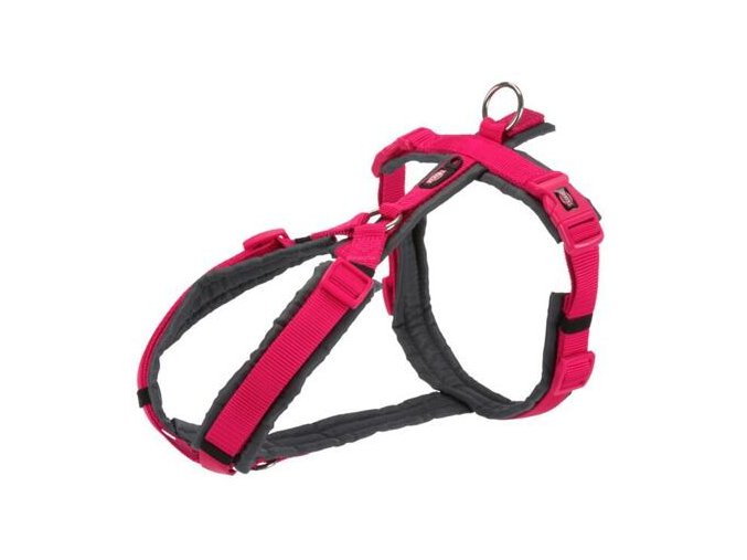 PREMIUM trekingový postroj, fuchsia/grafit (Velikost postroje PREMIUM trekingový XL:hruď:80-97cm/25mm)