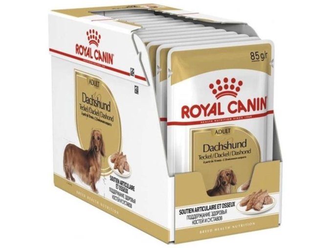 Royal Canin Canine kapsička BREED Jezevčík (Multipack 12x85 g)