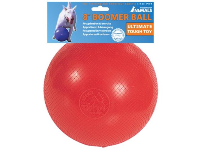 Hračka plast Míč Boomer Ball 15 cm
