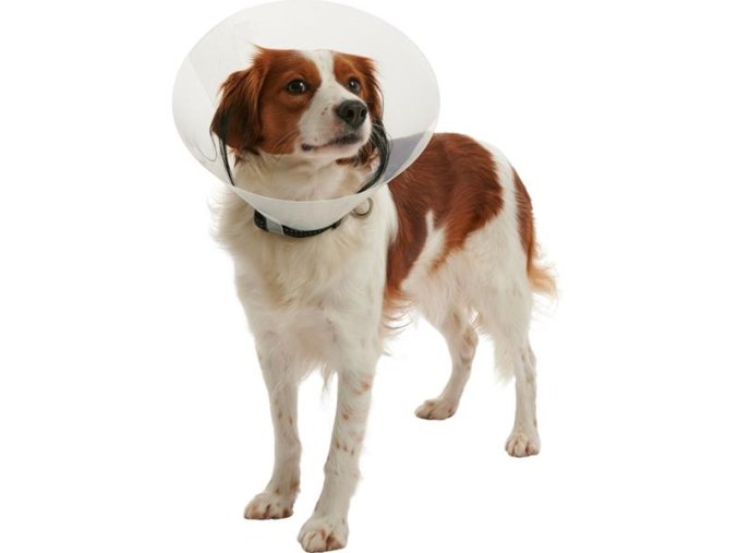 Límec Buster - clic collar 25 cm