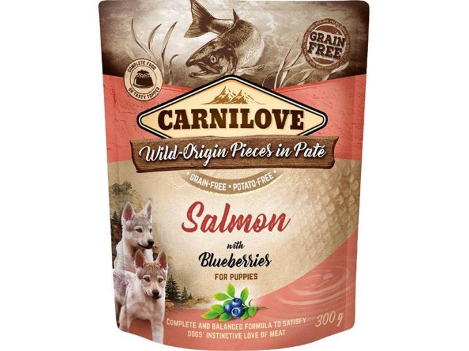 Carnilove Dog kapsička Paté Salmon with Blueberries for Puppies 300 g