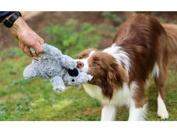 Hračka Multipet Wrinkleez koala plyš 23 cm