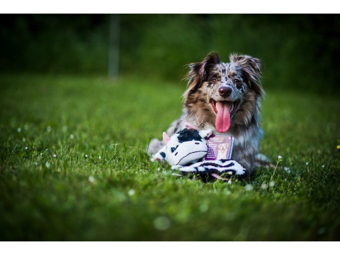 Hračka Multipet Squeaker Mat Tug kráva plyš 35,5 cm