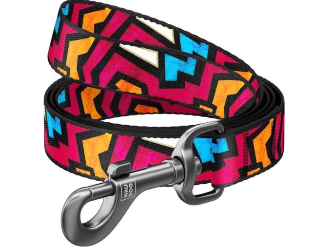 Vodítko nylon 15mmx122cm WAUDOG Graffiti