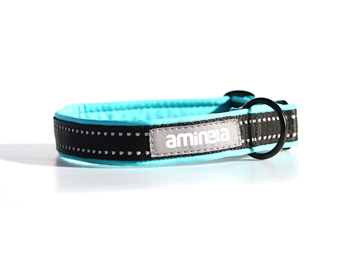 Aminela klasik obojek Sport & City 25mm/35-70cm - tyrkysová