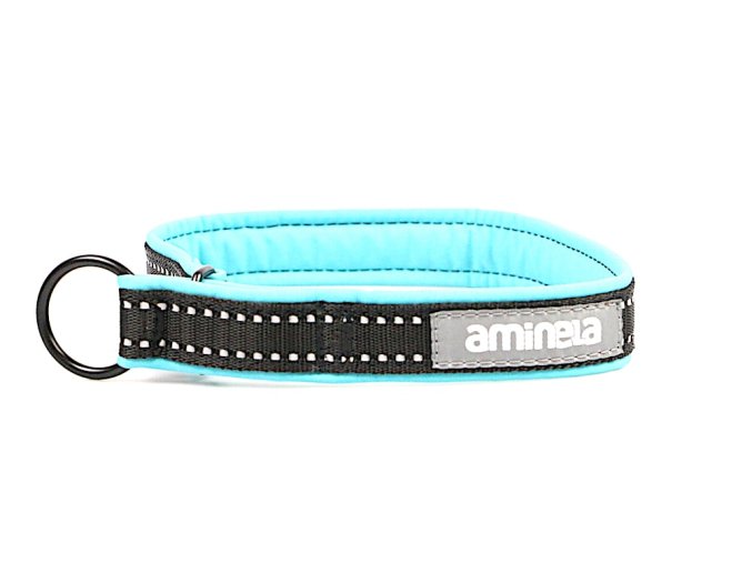 Aminela obojek polostahovací Sport & City 25mm/54cm + 5cm, tyrkysová