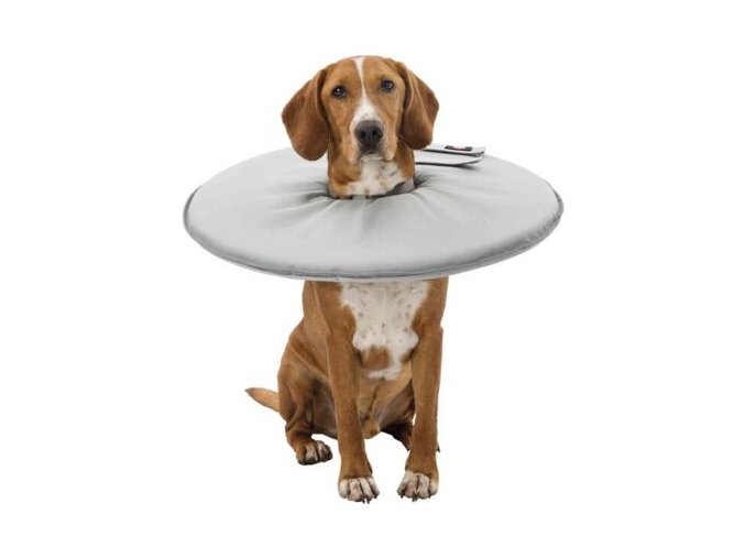Ochranný měkký límec "disk", M: 38-42 cm/21,5 cm, polyester/pěna, šedá