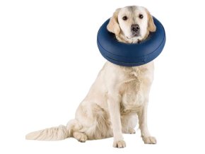 Ochranný nafukovací límec proti lízání a kousání ran (S: obvod krku: 24-31 cm/ 9,5 cm)