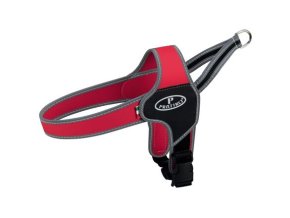 PRATIKO norwegian postroj Apollo, červený (Velikost postroje PRATIKO NORWEGIAN APOLLO XXS-XS:hruď:28-33cm)