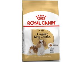 Royal Canin BREED Kavalír King Charles 1,5 kg