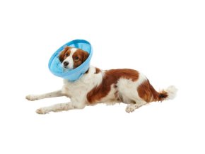 Límec Buster z netkané textilie Soft Flex 7,5 cm