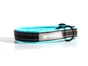 Aminela klasik obojek Sport & City 25mm/30-50cm - tyrkysová