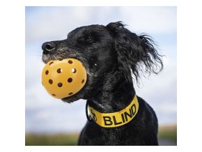 Děrovaný míč s rolničkou, pro slepé psy, ø 7 cm