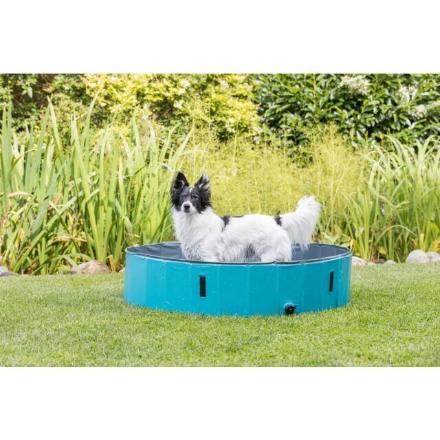 Bazén pro psy 80 x 20 cm světle modrá/modrá