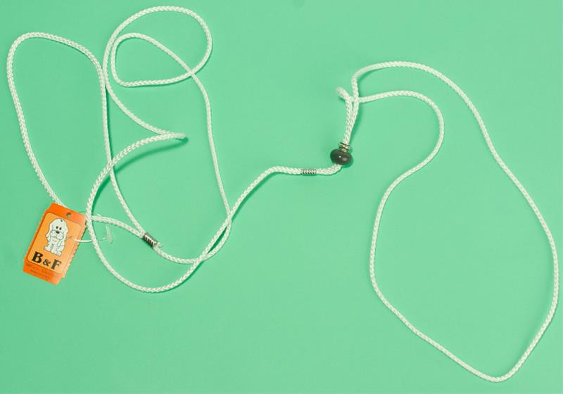 B&F Vodítko nylon předváděcí - bílé BAFPET 0,3 x 140 cm