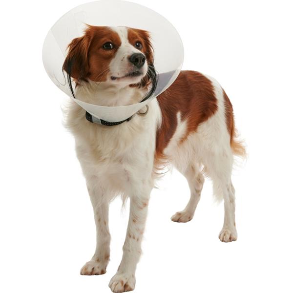 KRUUSE Límec ochranný BUSTER plastový Clic Collar 20cm