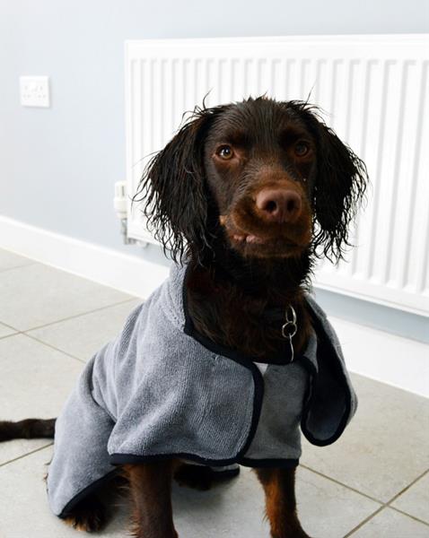 Happy Pet Župan/ručník pro psa Groom (vel. L) HP