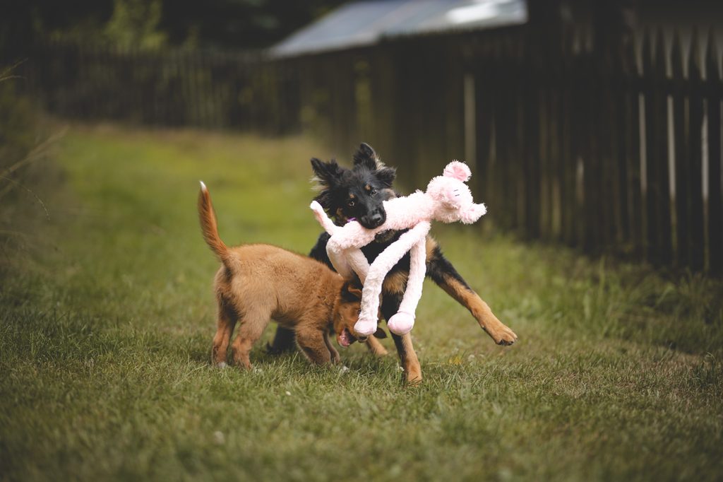 Hračka Multipet Swingin Slevins prase plyš 67 cm