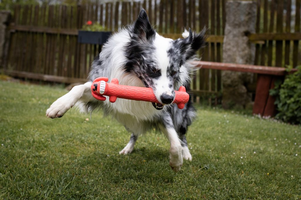 Hračka Multipet Loofa Original XL latex 30,5 cm