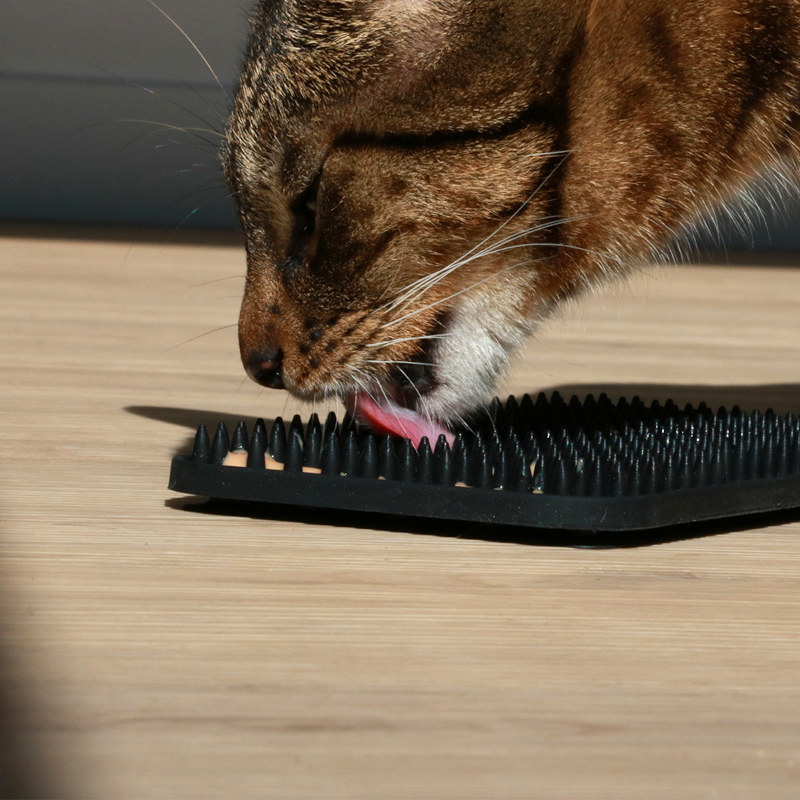 Lízací podložka Lex 20x10 cm černá Duvo+