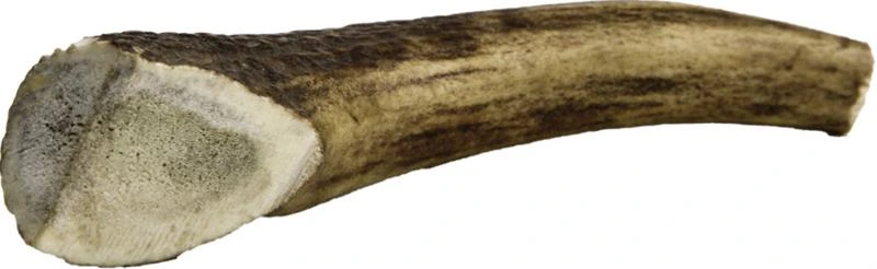 Jelení paroh pro psy MIDI 80-100 g