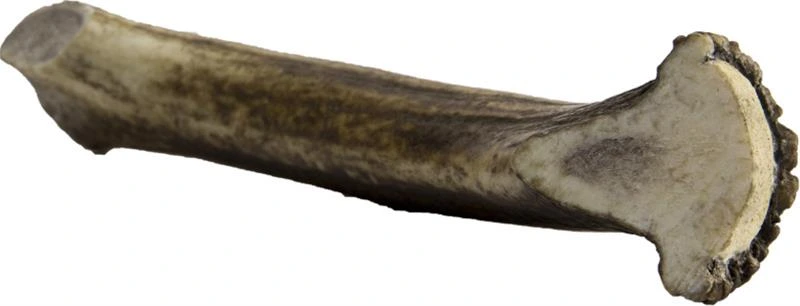 Jelení paroh pro psy MAXI 140-160 g