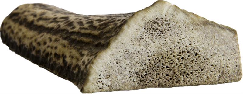 Jelení paroh dělený dělený mini 40-60g