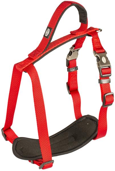 Postroj nylon North červený 1,5x30-40 cm Duvo+