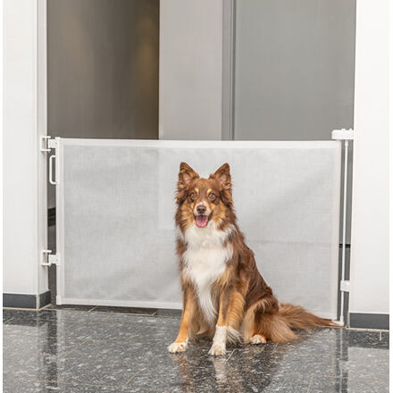 Vizuální roletová bariéra, rozšiřitelná, 0-137 x 86 cm 1 ks