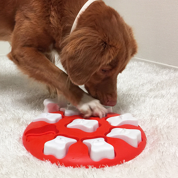 Rosewood Nina Ottosson hračka plast interaktivní Smart RW červená (1 ks)