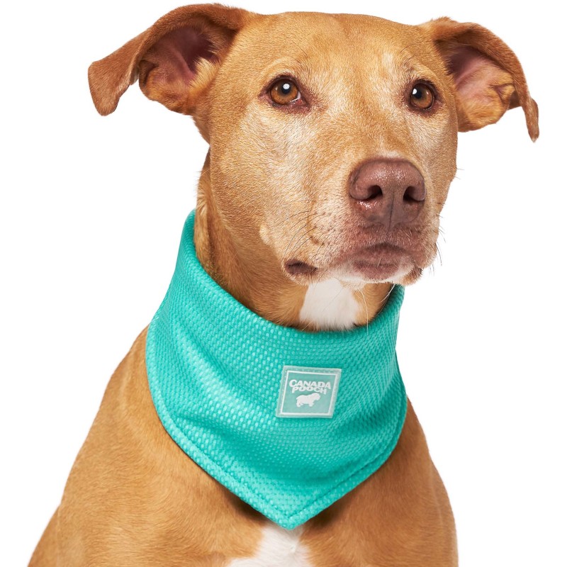 Chladicí šátek Canada Pooch L zelený