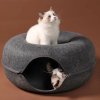 Donut Cat Bed Pet Cat Tunnel Interactive Game Toy Cat Bed Dual use Indoor Toy Kitten.jpg