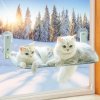 New Foldable Balcony Cat Hammock Window Glass Suction Cup Hanging Cat Bed Strong Basket Medium Cat.jpg (1)