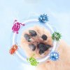 Paw Plunger Pet Paw Cleaner Soft Silicone Foot Cleaning Cup Portable Cats Dogs Paw Clean Brush.jpg (5)