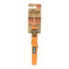 Farm Company ekologicky šetrný obojek pro psy ze sojových vláken 2cm/33-50cm oranžová