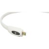 Flash USB svítící obojek, XS-XL: 65 cm / 16 mm, multi-color