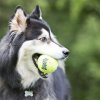 Hračka tenis Airdog míč 3ks KONG S