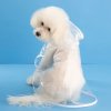 Průhledná pláštěnka pro pejsky - malá/střední plemena (Barva průhledná s bílým okrajem, Velikost L (5-7,5 kg))