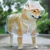 Průhledná pláštěnka pro pejsky - malá/střední plemena (Barva průhledná s bílým okrajem, Velikost L (5-7,5 kg))
